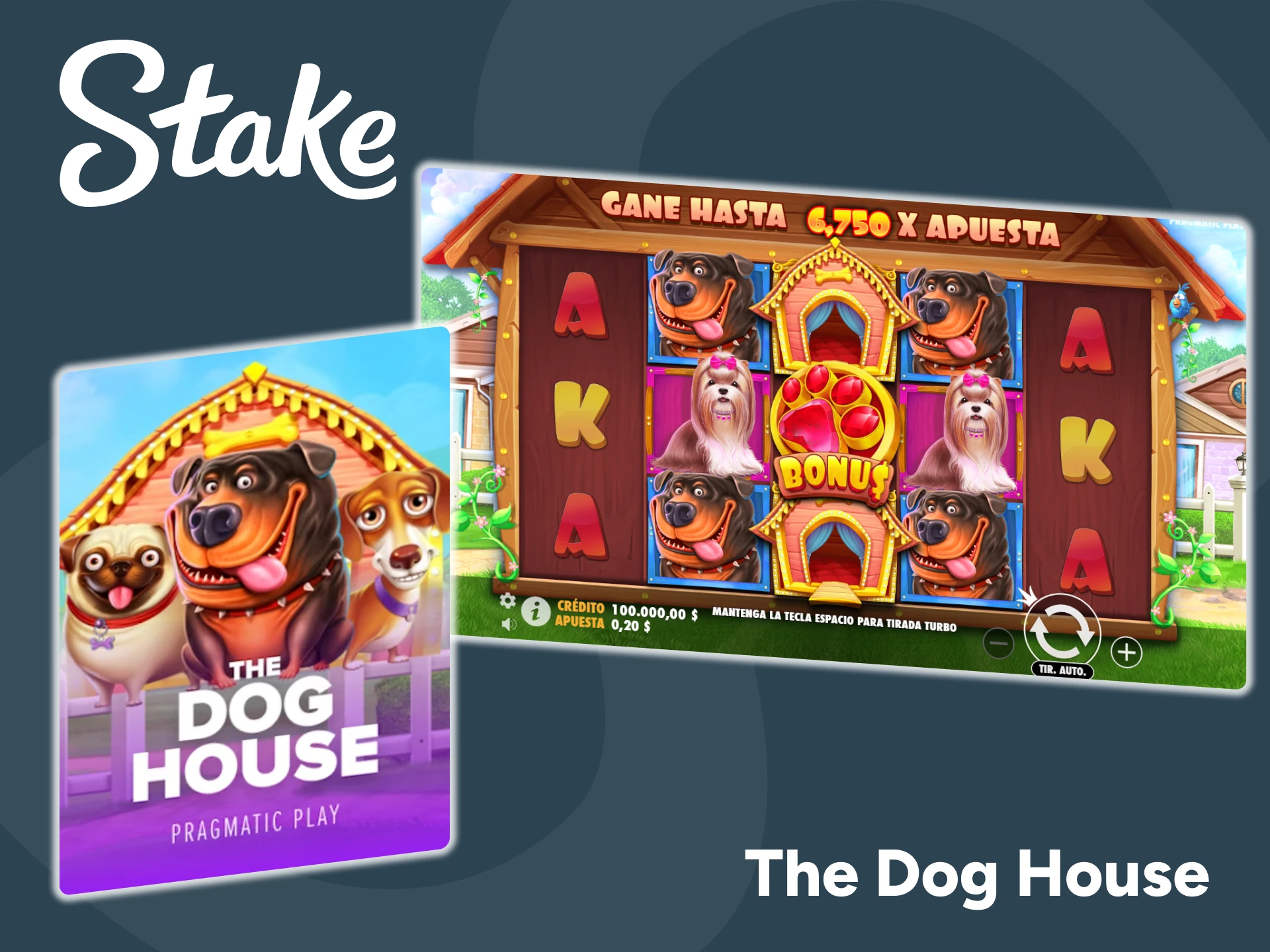 Disfruta de la experiencia de jugar a The Dog House en Stake.
